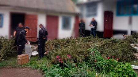 У Миргородській громаді поліцейські знайшли в домогосподарстві 5 кілограмів канабісу та зброю