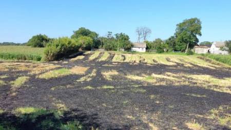 На Полтавщині чоловік загинув коли спалював траву
