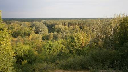 Заказник «Новосанжарський» збільшився на 15 гектарів