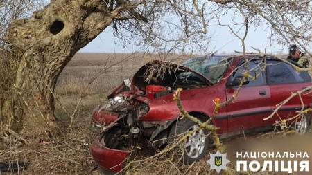На Полтавщині автомобіль врізався у дерево – водій загинув