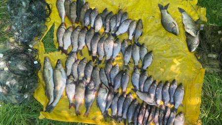 Двоє світлогірців наловили риби на 150 000 гривень
