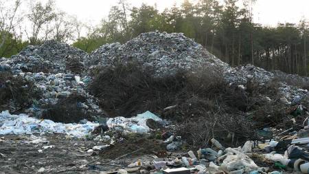 Щоб вивезти сміття із кобеляцького лісу,  потрібно 50 мільйонів