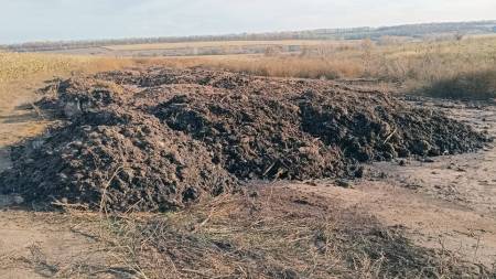 На Полтавщині судитимуть агронома, який дозволив викинути 2 300 тонн тваринного посліду у недозволеному місці