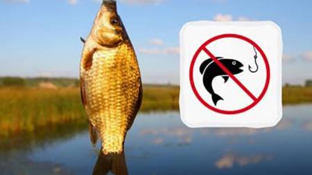 Зимова заборона триватиме до нересту