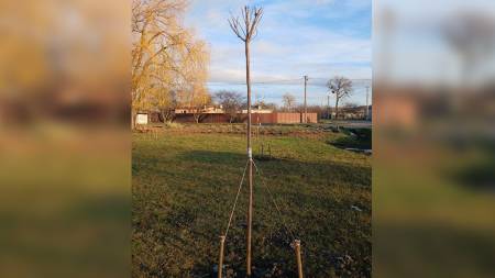 Роботи по облаштуванню парку на Солонцях вже розпочалися