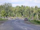 Всеукраїнська велоестафета в Кобеляках