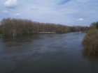 Річка Псьол біля Гадяча