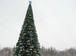 19 грудня запалали вогні на головній зеленій красуні Кременчука