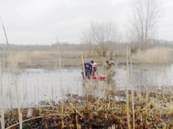 Рятувальники Полтавщини допомогли жінці, що заблукала на болоті