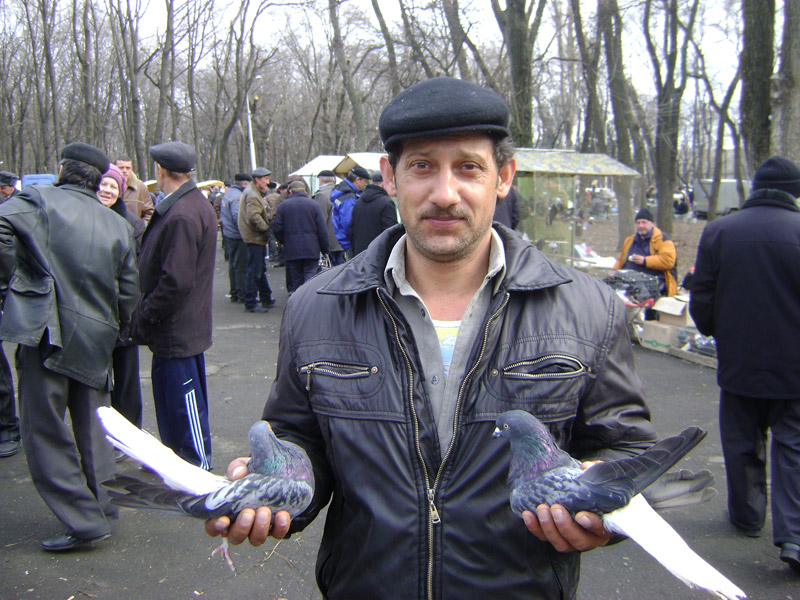 Кобеляцькі голуб’ятники їздили на виставку в Дніпропетровськ