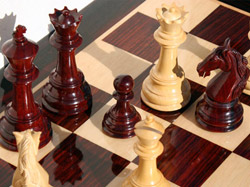 Полтавці стали чемпіонами Європи з розв’язування шахових задач