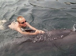 Зінківські діти відвідали Київський дельфінарій