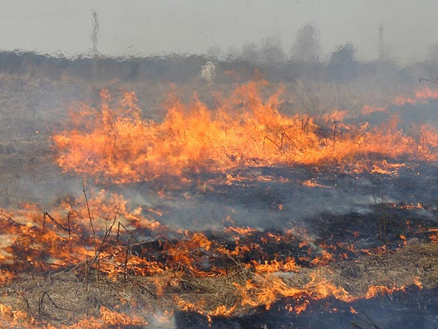 У Семенівському районі ліквідовано пожежу на полі