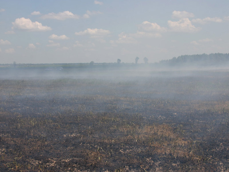 У Семенівському районі триває ліквідація торф’яних пожеж