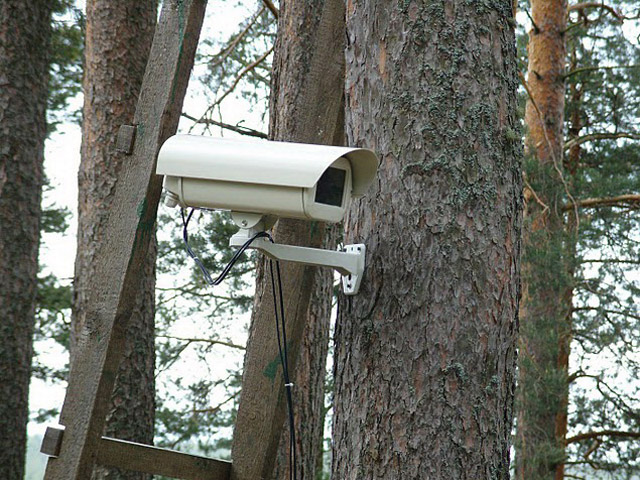 Полтавські ліси стерегтимуть відеокамери