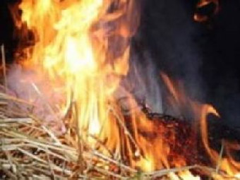 У Семенівському районі у жінки згорів сінник разом із сіном
