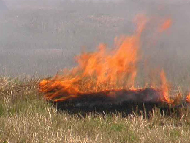 На Решетилівщині в згорілій траві знайдено труп