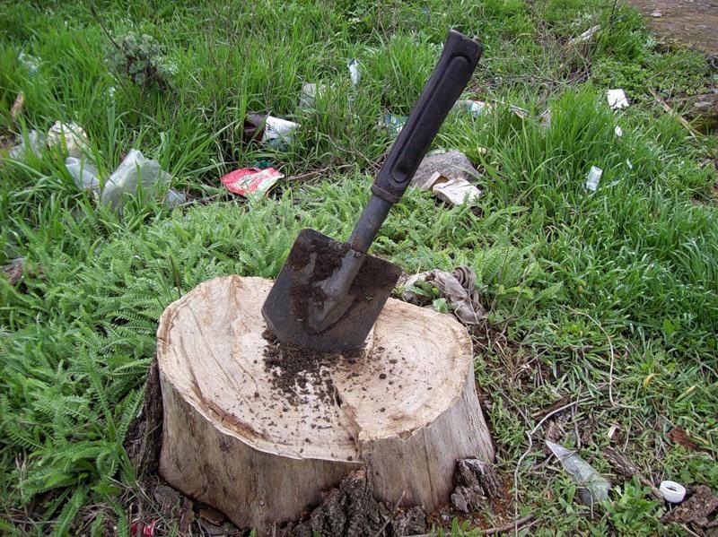 У Семенівському районі Полтавщини жінка зарубала чоловіка лопатою