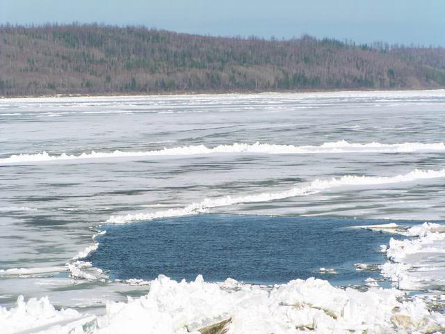 У Кременчуцькому водосховищі знайшли тіла двох зниклих рибалок