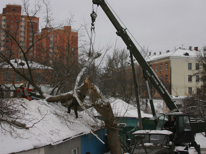 У Полтаві рятувальники звільнили дах приватного будинку від дерева