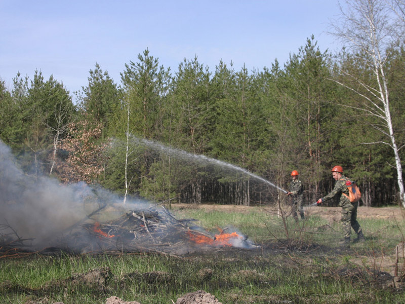 Проведено тактико-спеціальні навчання по гасінню лісових пожеж