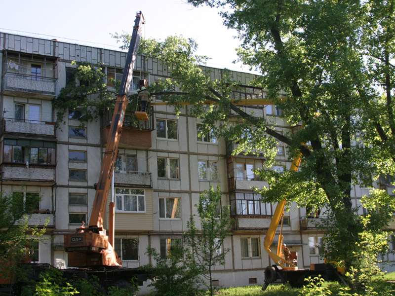 Рятувальники звільнили багатоповерхівку від аварійного дерева