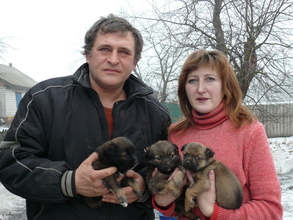 Подружжя Ковачів уже десять років опікується бездоглядними собаками