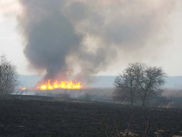 За добу вогнеборці 27 разів виїжджали ліквідовувати пожежі на відкритих територіях