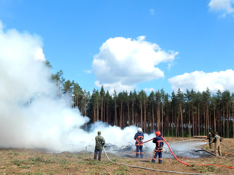 Рятувальники удосконалили навички по гасінню лісових пожеж