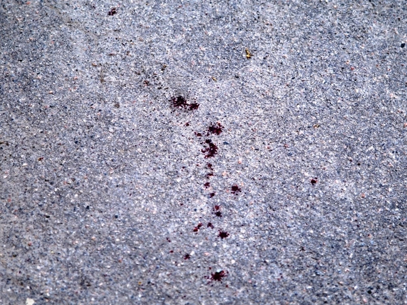 В центре Кременчуга мужчина с ножом напал на маршрутчика