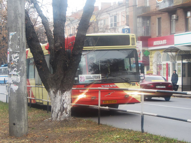 В Полтаве водитель автобуса вышел и разбил стекло водителю троллейбуса
