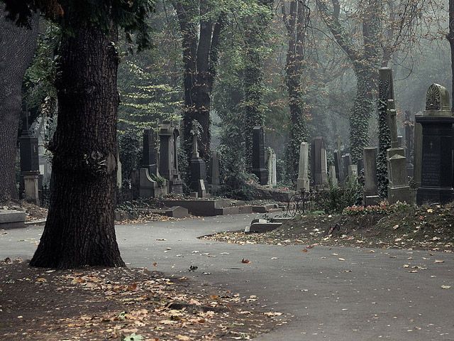 У Лохвицькому районі чоловік убив товариша і відвіз його санками на кладовище