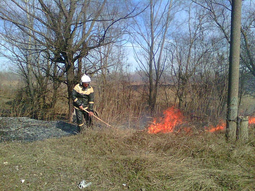ДСНС України закликає громадян не провокувати пожежі в екосистемах!