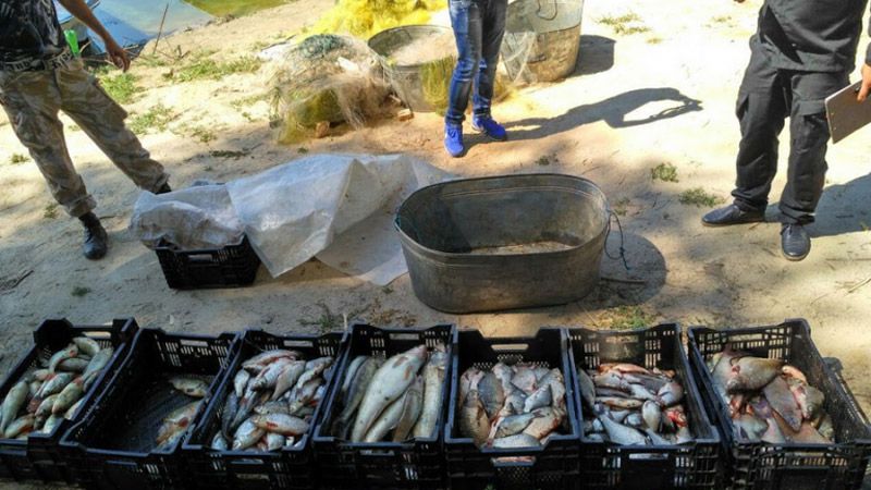 Поблизу Кобеляк спіймали браконьєрів, які виловили риби на 82.000 грн