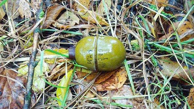 Полтавчанка у клумбі знайшла гранату