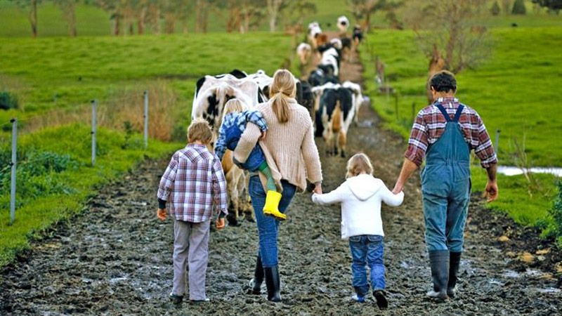 Набрав чинності Закон щодо діяльності сімейних фермерських господарств
