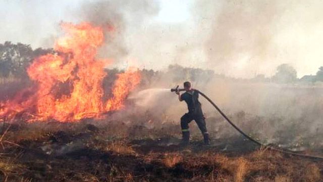 У Кременчуцькому районі гасили пожежу площею 10 гектарів