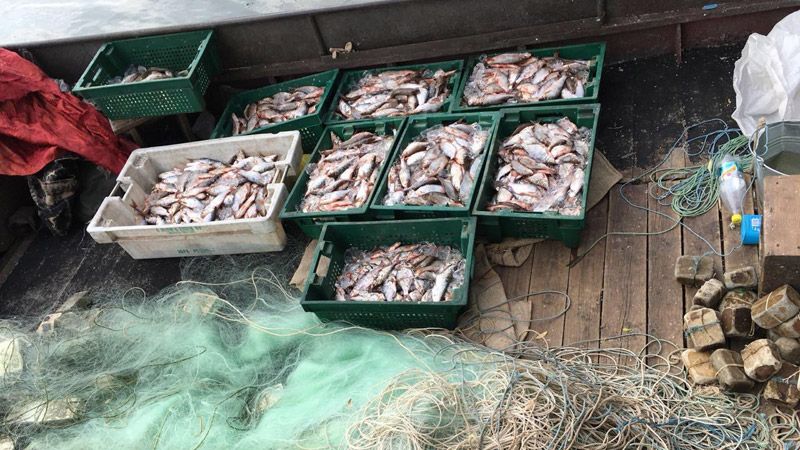Водна поліція Кременчука затримала браконєра який встиг наловити 2 центнери риби