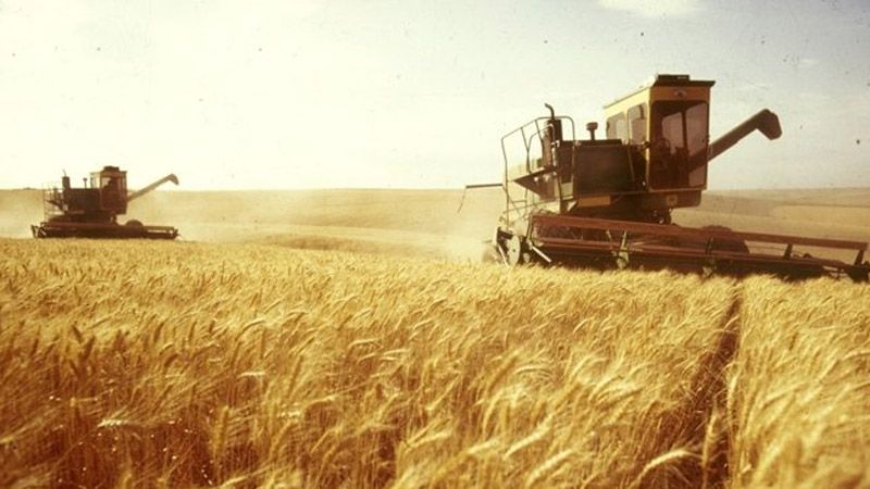 Жнива-2018: Аграрії зібрали майже 70% зернових