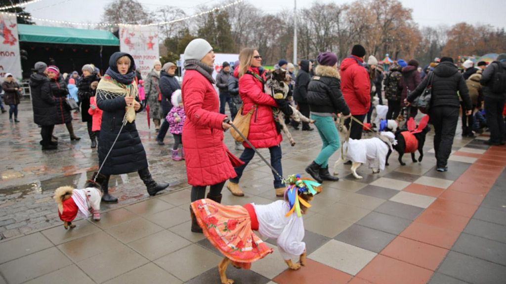 У Кременчуці відбувся новорічний костюмований парад собак «Новорічний Хатіко»