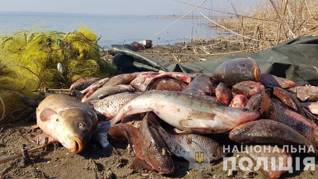 У нерестовий перід поліцейські вилучили більше 1 тонни риби у браконьєрів