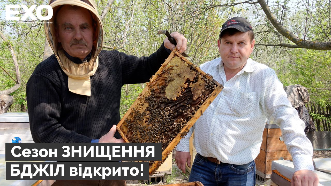 Сезон знищення бджіл відкрито!