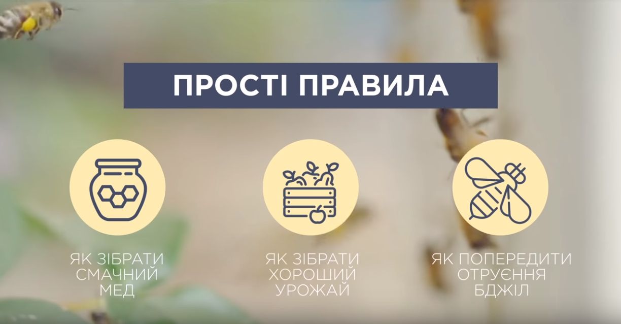 Збільшити врожаї до 40%. Держпродспоживслужба України дала по чотири поради аграріям та пасічникам для ефективної співпраці