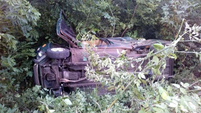 У Миргородському районі п’яний водій врізався в дерево