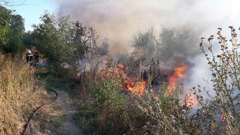 За минулу добу рятувальники ліквідували 14 пожеж на відкритій території