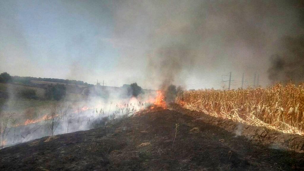 Під Полтавою горіло кукурудзяне поле