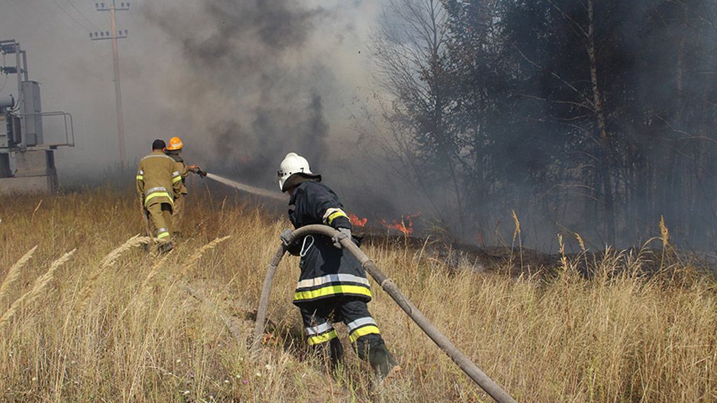 У Новосанжарському районі горів ліс