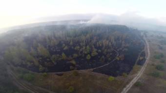 У Новосанжарському районі рятувальники погасили лісову пожежу
