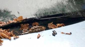 У Кременчуці чоловік виявив на капоті свого автомобіля гранату