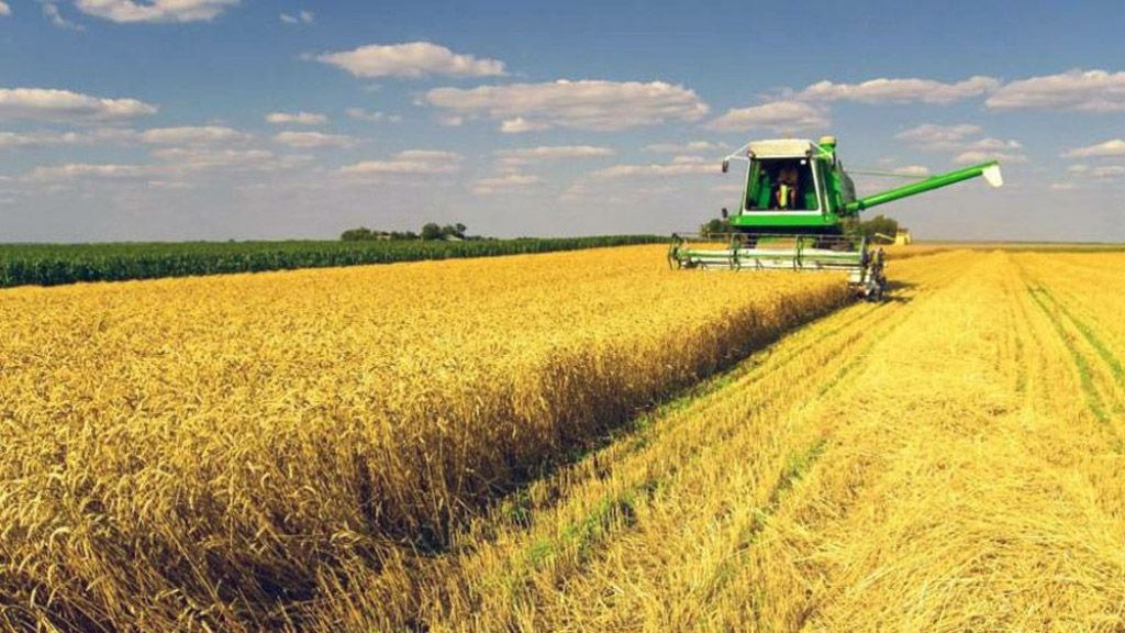 На Полтавщині уже намолотили 5 мільйонів тонн зернових